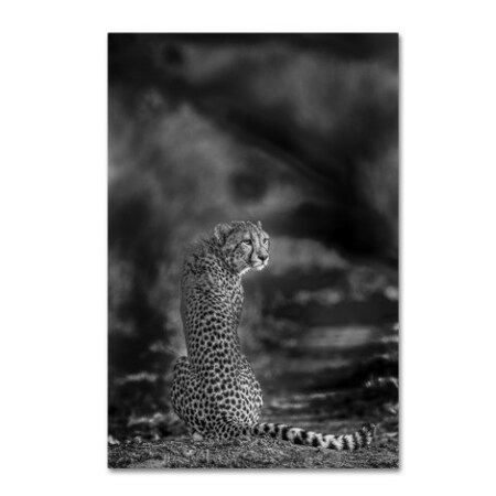 Trademark Fine Art Jaco Marx 'The Look Back' Canvas Art, 12x19 1X00052-C1219GG